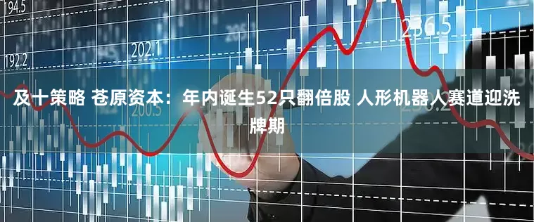 及十策略 苍原资本：年内诞生52只翻倍股 人形机器人赛道迎洗牌期